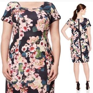 Adrianna Papell scuba pink, dark green floral 24w